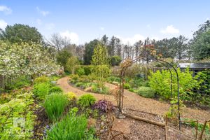 Garden- click for photo gallery